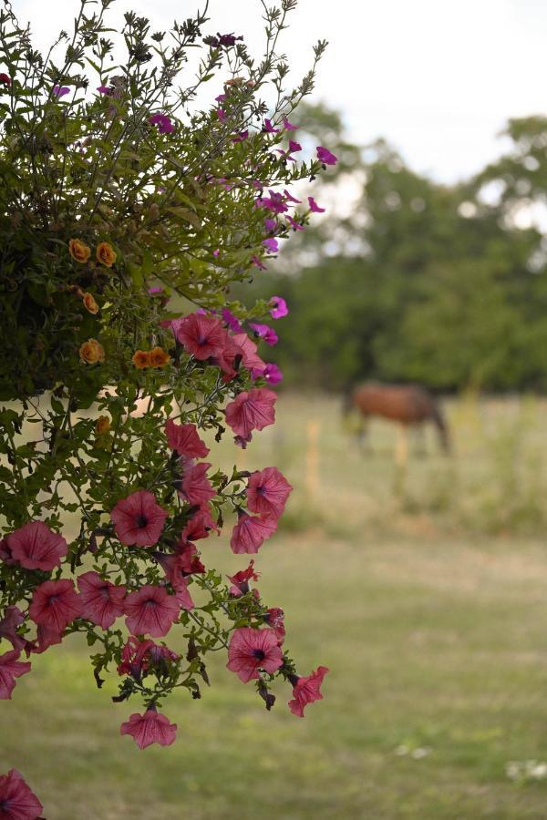 Sweet Pea Cabin Badsey エクステリア 写真